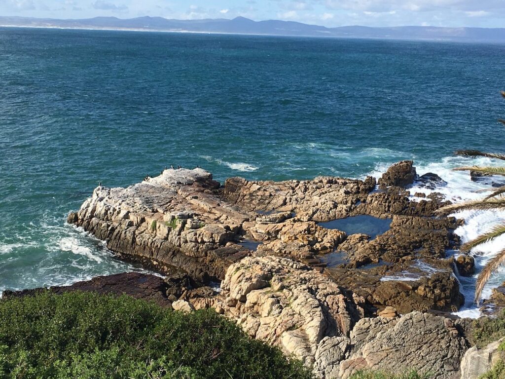 8 Cosas Imprescindibles Que Ver y Hacer en Hermanus, Sudáfrica