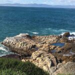 8 Cosas Imprescindibles Que Ver y Hacer en Hermanus, Sudáfrica