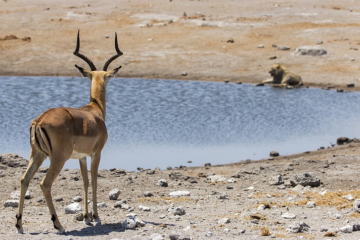 Consejos para Viajar a Namibia por Libre, Barato y Seguro